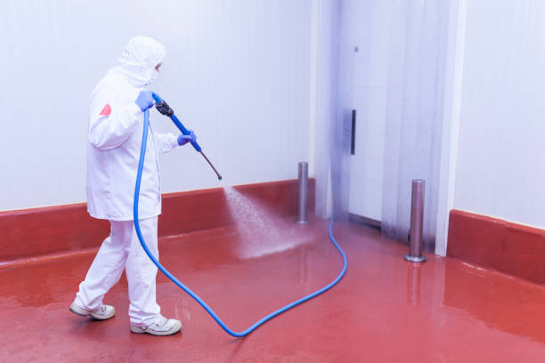 Boat and Dock Cleaning in Tuba City, AZ